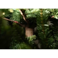 Albero di Natale Illuminato Anthony 1500LED h180Ø137cm PE+PVC