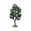 Alder Tree Cod. 94538