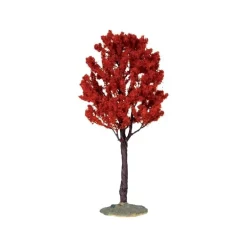 Baldcypress Tree, Large Cod. 44795