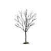 Butternut Tree Small Cod. 64097