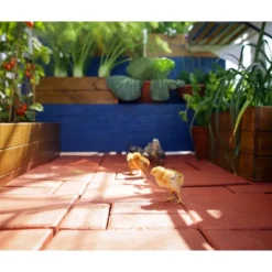 Canopia Mythos Doppio Strato Serra Da Giardino in Policarbonato 186X185X208 cm Argento