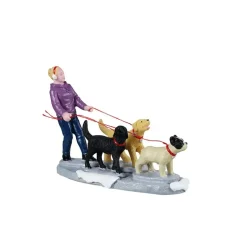 Dog Walker Cod. 42361