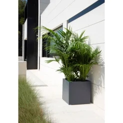 Fioriera Cubo Herstera PLANTER CUBE 50 in Metallo colore Antracite 50x50x50 cm
