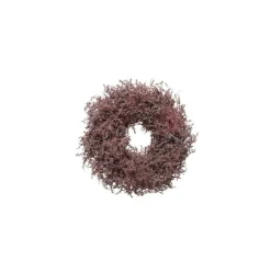 Ghirlanda di Asparagi Rosso 35 cm