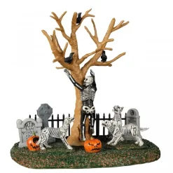 In The Wrong Graveyard Cod. 23584