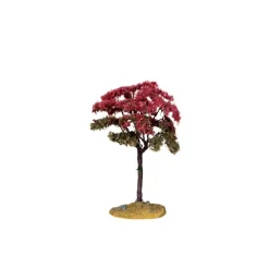 Linden Tree, Small Cod. 44802