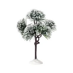 Mountain Pine Medium Cod. 74175