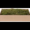 Muschio Piatto Essiccato 500 g Verde - Marrone