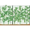 Stocker Rete rampicante 2 x 50 m