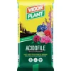 Terriccio Acidofile 45 litri Vigorplant