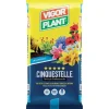 Terriccio Cinquestelle 20 litri Vigorplant