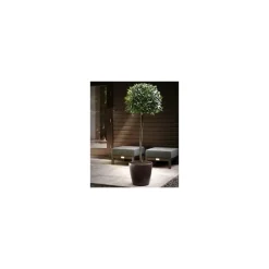 Vaso Classico Premium 35 Lechuza Set Completo