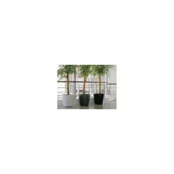 Vaso Classico Premium 50 Lechuza Set Completo
