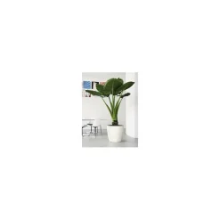 Vaso Classico Premium 43 Lechuza Set Completo