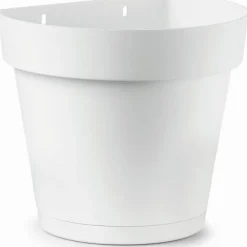 Vaso Cleo a Muro