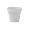 Vaso Cleo Rotondo