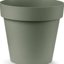 Vaso Cleo Rotondo