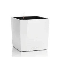 Vaso Cube 30 Lechuza Set Completo