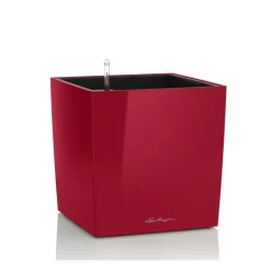 Vaso Cube 50 Lechuza Set Completo
