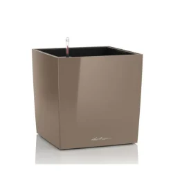 Vaso Cube 50 Lechuza Set Completo