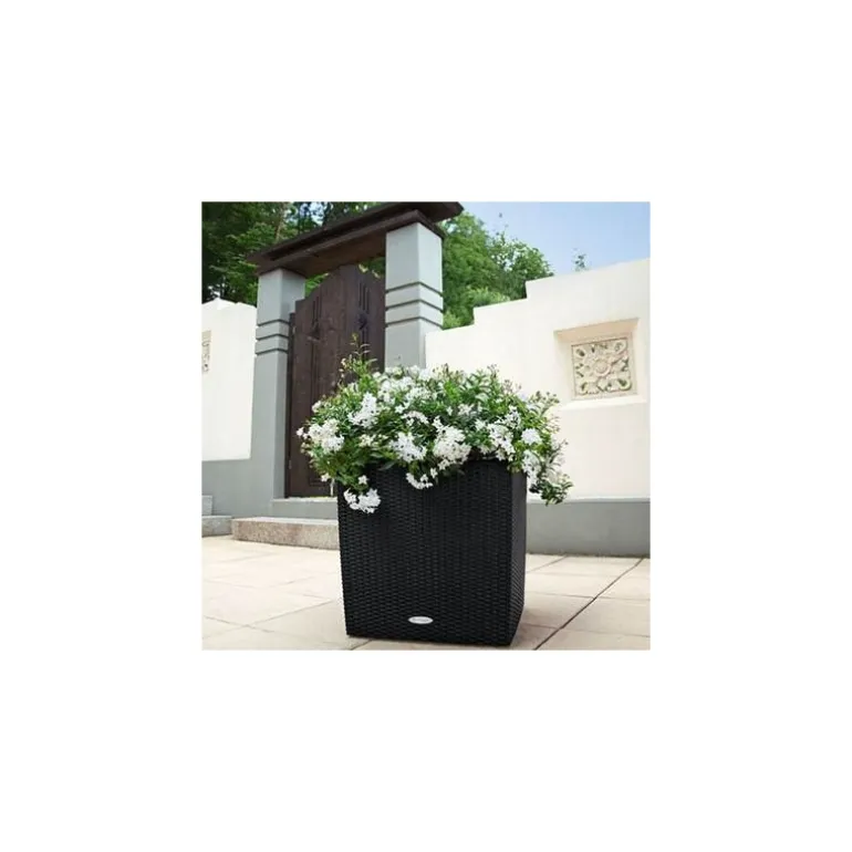 Vaso Cube Cottage 50 Lechuza Set Completo