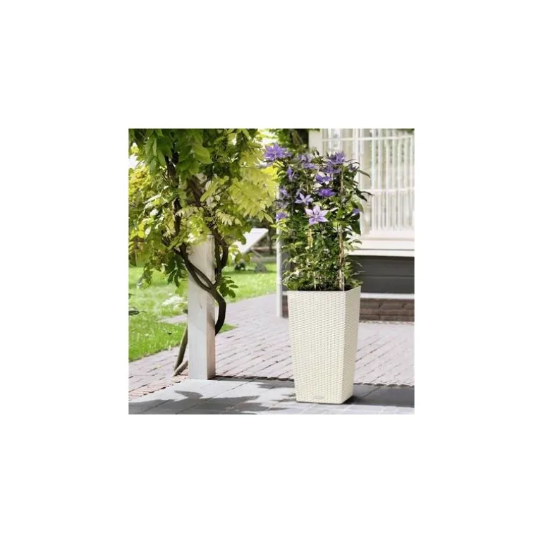 Vaso Cubico Cottage 30 Lechuza Set Completo