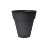 Vaso Dallas Conico