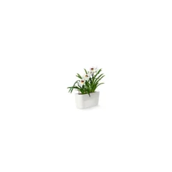 Vaso Delta Premium 20 Lechuza Set Completo