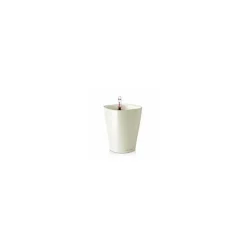 Vaso Deltini Lechuza Set Completo