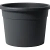 Vaso Diana