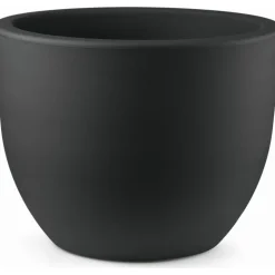Vaso Eggy