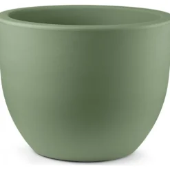 Vaso Eggy