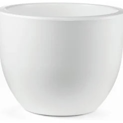 Vaso Eggy