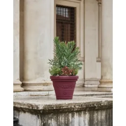 Vaso Festonato