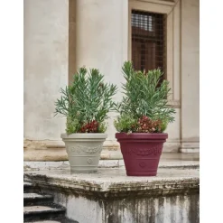 Vaso Festonato