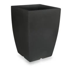 Vaso Genesis Quadro