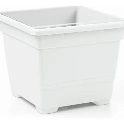 Vaso Quadro
