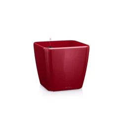 Vaso Quadro Premium 28 Lechuza Set Completo