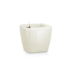 Vaso Quadro Premium 50 Lechuza Set Completo