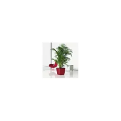 Vaso Quadro Premium 43 Lechuza Set Completo