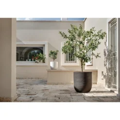 Vaso Shabby Rigato