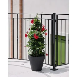 Vaso Standard One