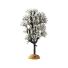 White Hawthorn Tree Cod. 94540