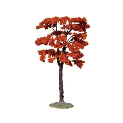 Yellowwood Tree, Large Cod. 44794